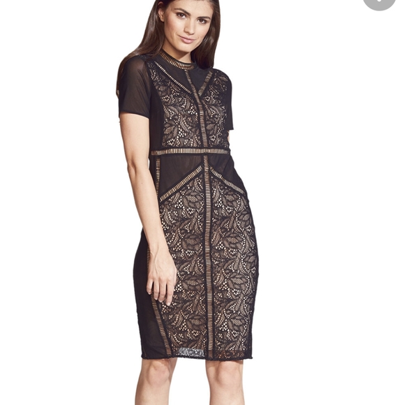 NWT Bardot Elsie Lace Dress sz:2 - Picture 1 of 7